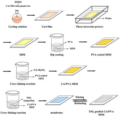 Fouling Resistant CA/PVA/TiO2 Imprinted Membranes for Selective Recognition and Separation Salicylic Acid from Waste Water